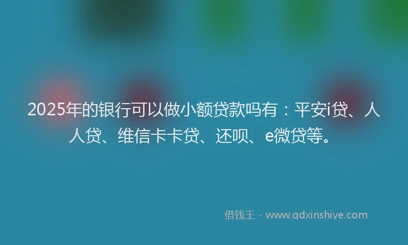 2025年的银行可以做小额贷款吗有：平安i贷、人人贷、维信卡卡贷、还呗、e微贷等。