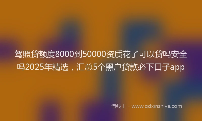 驾照贷额度8000到50000资质花了可以贷吗安全吗2025年精选，汇总5个黑户贷款必下口子app