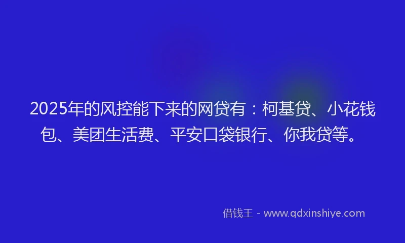 2025年的风控能下来的网贷有：柯基贷、小花钱包、美团生活费、平安口袋银行、你我贷等。