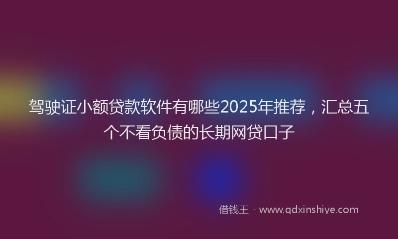 驾驶证小额贷款软件有哪些2025年推荐，汇总五个不看负债的长期网贷口子