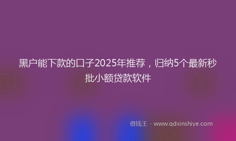 黑户能下款的口子2025年推荐，归纳5个最新秒批小额贷款软件