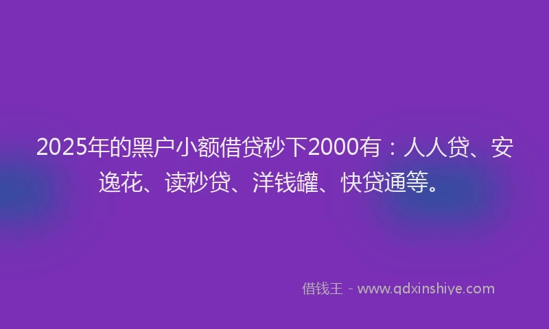 2025年的黑户小额借贷秒下2000有：人人贷、安逸花、读秒贷、洋钱罐、快贷通等。