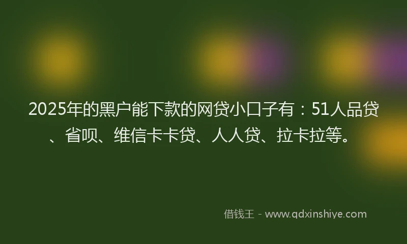 2025年的黑户能下款的网贷小口子有：51人品贷、省呗、维信卡卡贷、人人贷、拉卡拉等。
