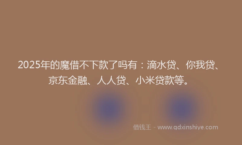 2025年的魔借不下款了吗有：滴水贷、你我贷、京东金融、人人贷、小米贷款等。