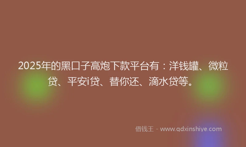 2025年的黑口子高炮下款平台有：洋钱罐、微粒贷、平安i贷、替你还、滴水贷等。