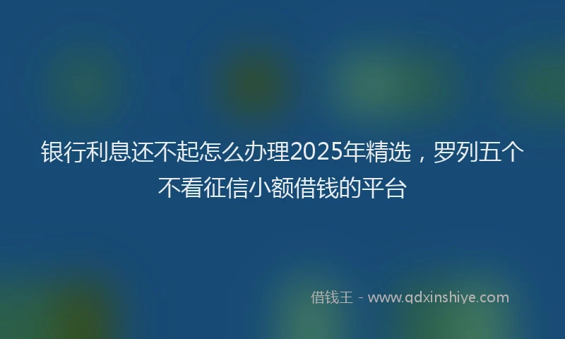 银行利息还不起怎么办理2025年精选，罗列五个不看征信小额借钱的平台