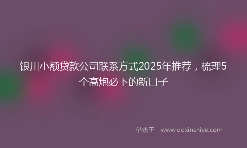 银川小额贷款公司联系方式2025年推荐，梳理5个高炮必下的新口子