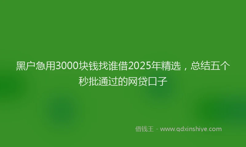 黑户急用3000块钱找谁借2025年精选，总结五个秒批通过的网贷口子