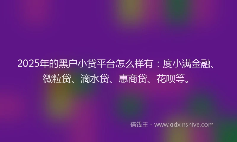 2025年的黑户小贷平台怎么样有：度小满金融、微粒贷、滴水贷、惠商贷、花呗等。