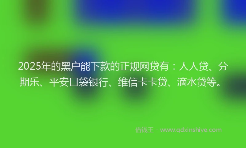 2025年的黑户能下款的正规网贷有：人人贷、分期乐、平安口袋银行、维信卡卡贷、滴水贷等。