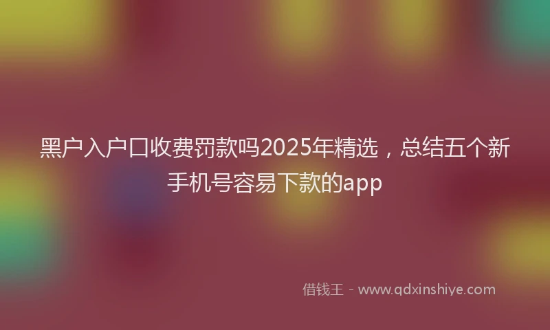 黑户入户口收费罚款吗2025年精选，总结五个新手机号容易下款的app