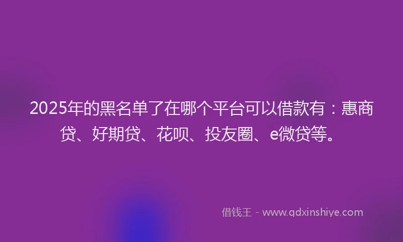 2025年的黑名单了在哪个平台可以借款有：惠商贷、好期贷、花呗、投友圈、e微贷等。