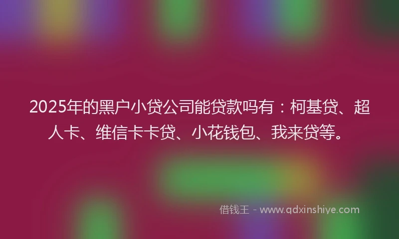 2025年的黑户小贷公司能贷款吗有：柯基贷、超人卡、维信卡卡贷、小花钱包、我来贷等。