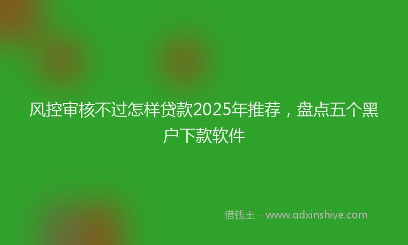 风控审核不过怎样贷款2025年推荐，盘点五个黑户下款软件