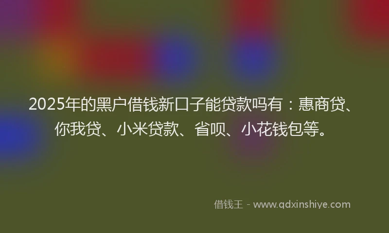 2025年的黑户借钱新口子能贷款吗有：惠商贷、你我贷、小米贷款、省呗、小花钱包等。