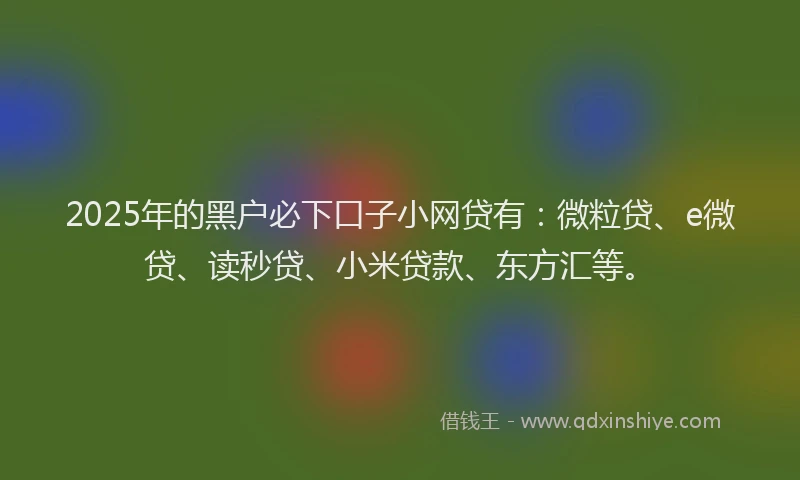 2025年的黑户必下口子小网贷有：微粒贷、e微贷、读秒贷、小米贷款、东方汇等。