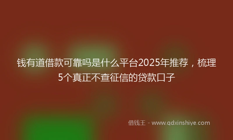 钱有道借款可靠吗是什么平台2025年推荐，梳理5个真正不查征信的贷款口子