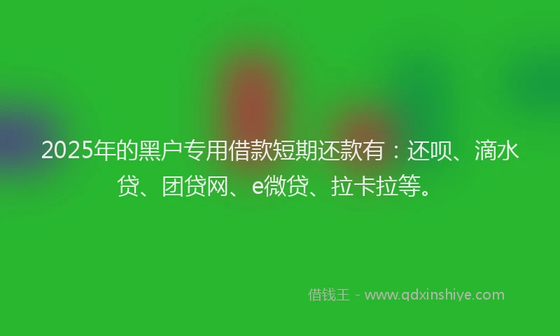 2025年的黑户专用借款短期还款有：还呗、滴水贷、团贷网、e微贷、拉卡拉等。