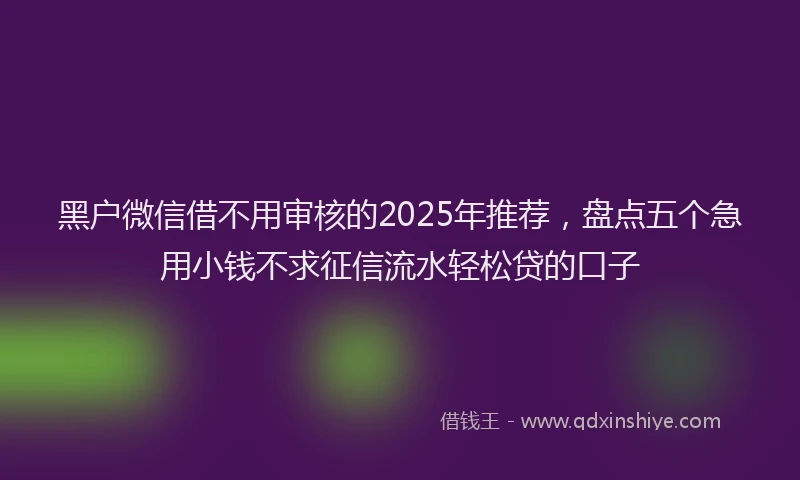 黑户微信借不用审核的2025年推荐，盘点五个急用小钱不求征信流水轻松贷的口子