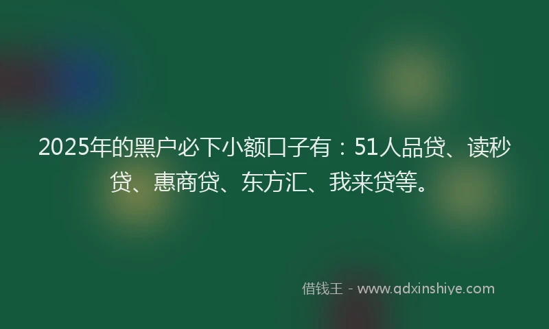 2025年的黑户必下小额口子有：51人品贷、读秒贷、惠商贷、东方汇、我来贷等。