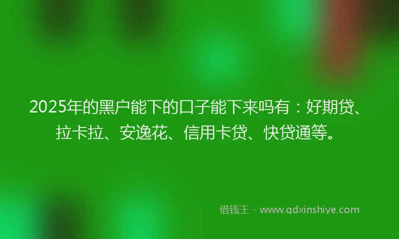 2025年的黑户能下的口子能下来吗有：好期贷、拉卡拉、安逸花、信用卡贷、快贷通等。