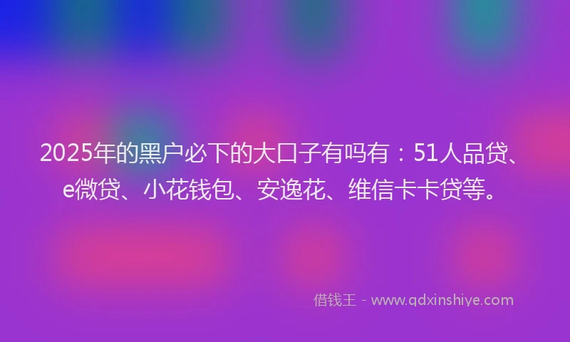 2025年的黑户必下的大口子有吗有：51人品贷、e微贷、小花钱包、安逸花、维信卡卡贷等。