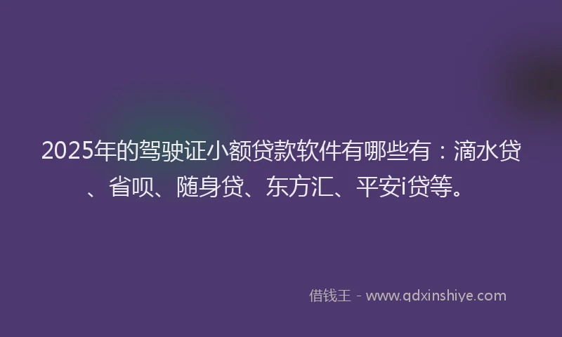 2025年的驾驶证小额贷款软件有哪些有：滴水贷、省呗、随身贷、东方汇、平安i贷等。