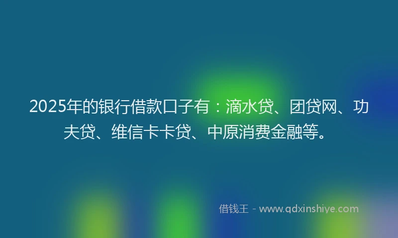 2025年的银行借款口子有：滴水贷、团贷网、功夫贷、维信卡卡贷、中原消费金融等。