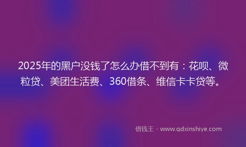 2025年的黑户没钱了怎么办借不到有：花呗、微粒贷、美团生活费、360借条、维信卡卡贷等。
