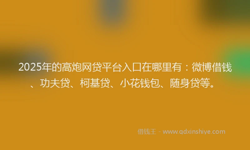 2025年的高炮网贷平台入口在哪里有：微博借钱、功夫贷、柯基贷、小花钱包、随身贷等。