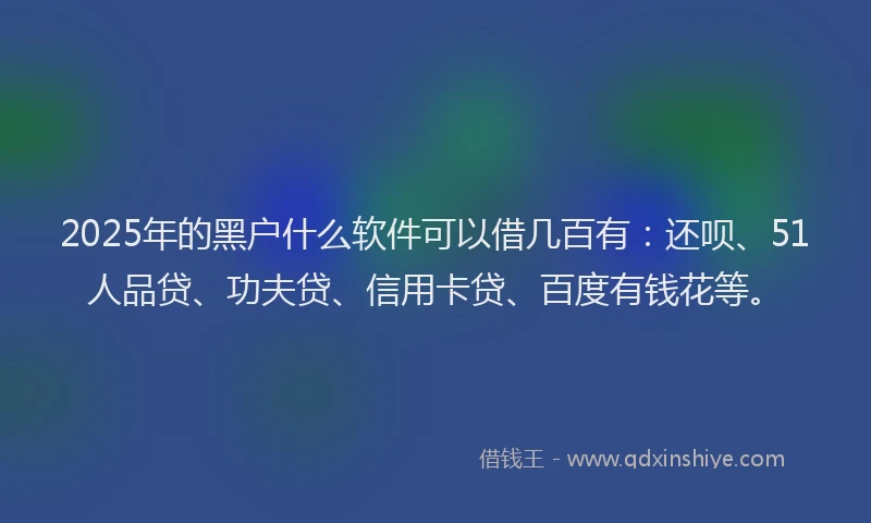 2025年的黑户什么软件可以借几百有：还呗、51人品贷、功夫贷、信用卡贷、百度有钱花等。