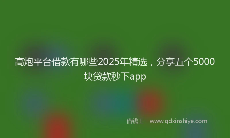 高炮平台借款有哪些2025年精选，分享五个5000块贷款秒下app
