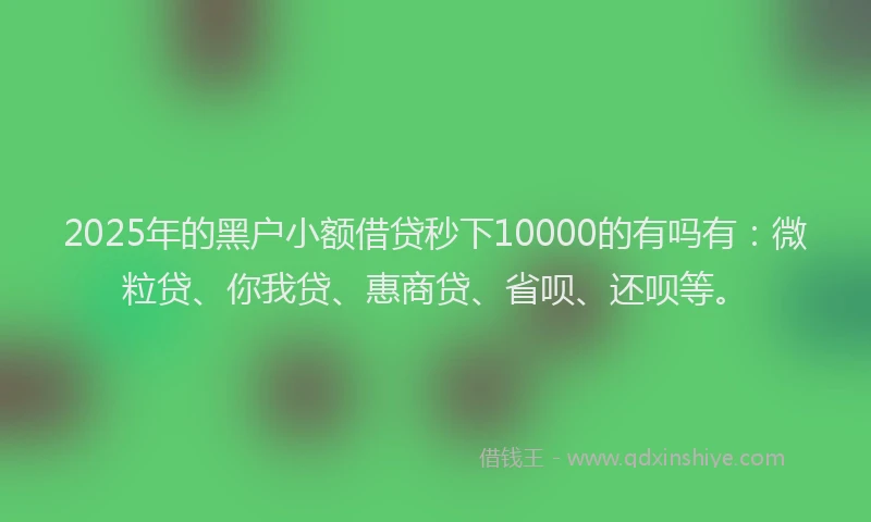 2025年的黑户小额借贷秒下10000的有吗有：微粒贷、你我贷、惠商贷、省呗、还呗等。