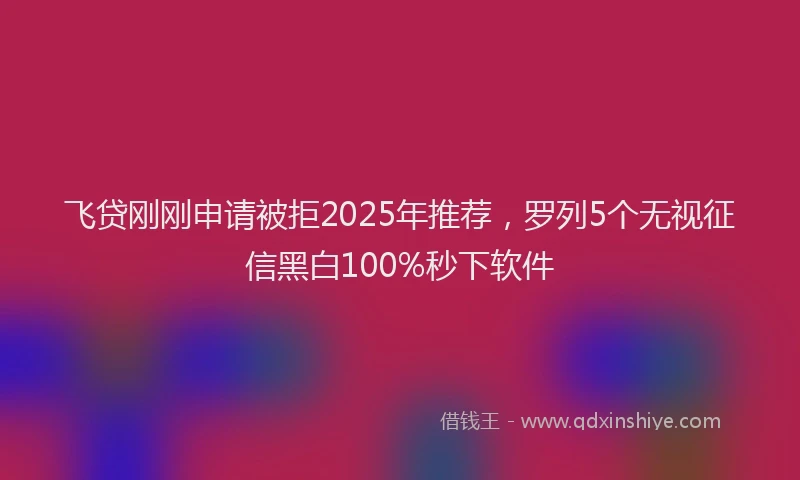 飞贷刚刚申请被拒2025年推荐，罗列5个无视征信黑白100%秒下软件