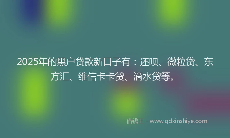 2025年的黑户贷款新口子有：还呗、微粒贷、东方汇、维信卡卡贷、滴水贷等。