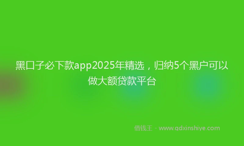 黑口子必下款app2025年精选，归纳5个黑户可以做大额贷款平台