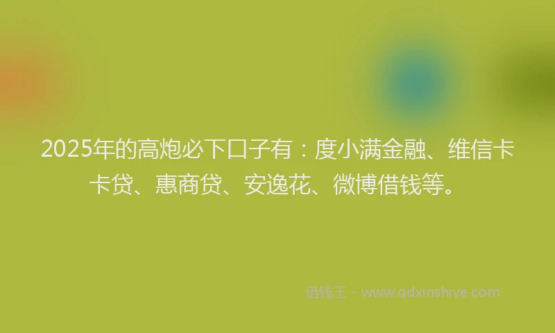 2025年的高炮必下口子有：度小满金融、维信卡卡贷、惠商贷、安逸花、微博借钱等。