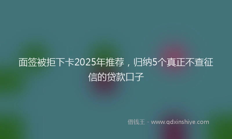 面签被拒下卡2025年推荐，归纳5个真正不查征信的贷款口子