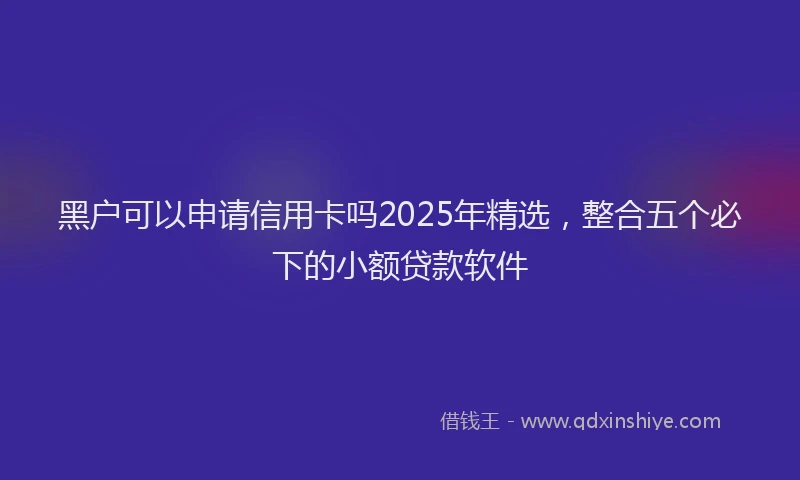 黑户可以申请信用卡吗2025年精选，整合五个必下的小额贷款软件