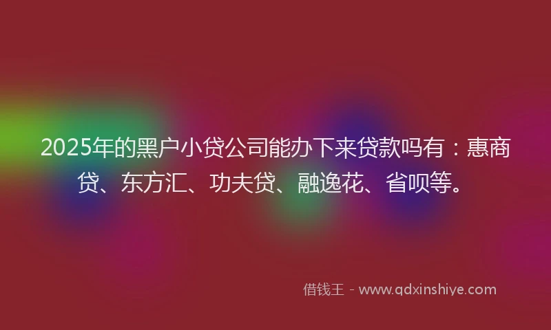 2025年的黑户小贷公司能办下来贷款吗有：惠商贷、东方汇、功夫贷、融逸花、省呗等。