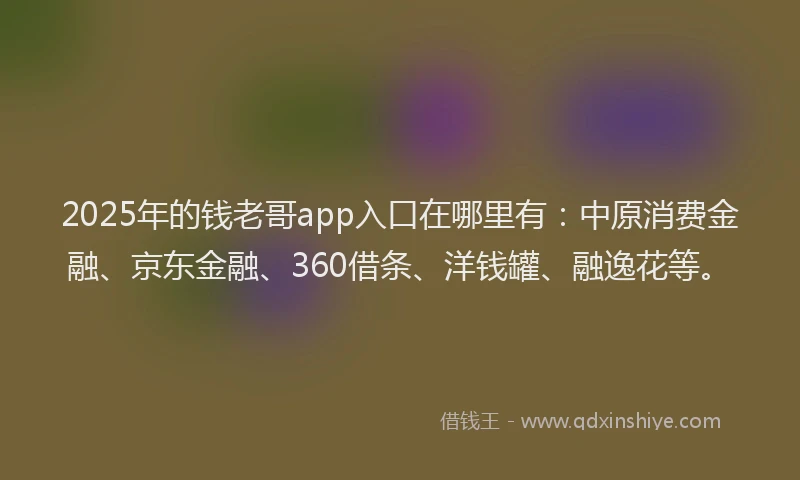 2025年的钱老哥app入口在哪里有：中原消费金融、京东金融、360借条、洋钱罐、融逸花等。