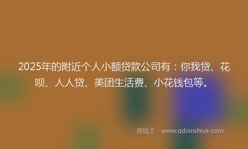 2025年的附近个人小额贷款公司有：你我贷、花呗、人人贷、美团生活费、小花钱包等。