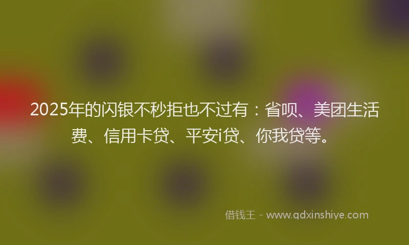 2025年的闪银不秒拒也不过有：省呗、美团生活费、信用卡贷、平安i贷、你我贷等。