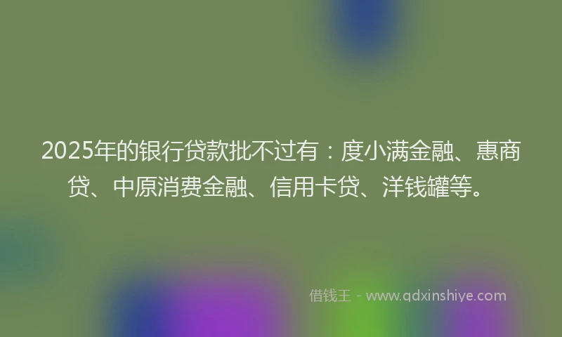 2025年的银行贷款批不过有：度小满金融、惠商贷、中原消费金融、信用卡贷、洋钱罐等。