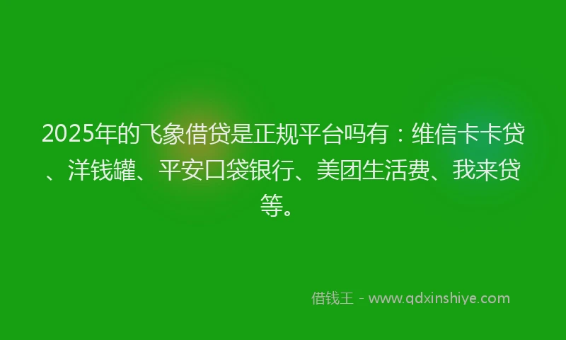 2025年的飞象借贷是正规平台吗有：维信卡卡贷、洋钱罐、平安口袋银行、美团生活费、我来贷等。