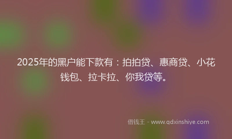 2025年的黑户能下款有：拍拍贷、惠商贷、小花钱包、拉卡拉、你我贷等。