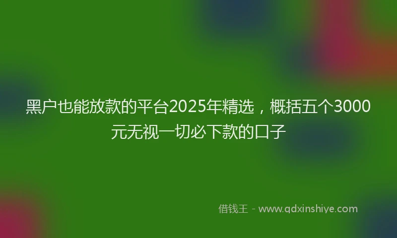 黑户也能放款的平台2025年精选，概括五个3000元无视一切必下款的口子