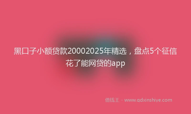 黑口子小额贷款20002025年精选，盘点5个征信花了能网贷的app