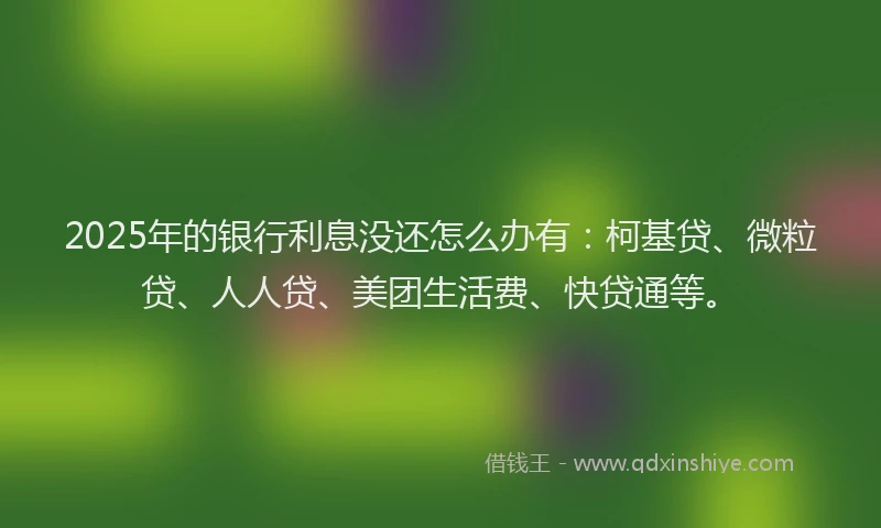 2025年的银行利息没还怎么办有：柯基贷、微粒贷、人人贷、美团生活费、快贷通等。