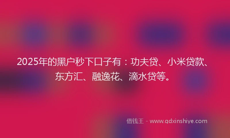 2025年的黑户秒下口子有：功夫贷、小米贷款、东方汇、融逸花、滴水贷等。